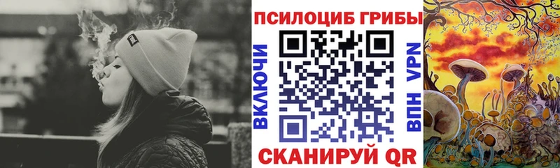 Купить  Дивногорск  Псилоцибиновые грибы GOLDEN TEACHER 